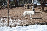 007_2009-0214-1403-17.jpg